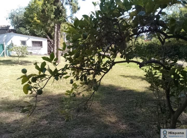 Excelente Lote en Venta, Ubicado en del Viso. Calle Koch, Casi Esquina Zanni - 2