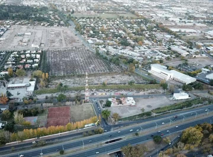 Importante Fracción de 4,5 Ha en Venta | Las Cañas y Elpidio González | Apta Desarrollo Inmobiliario - 4