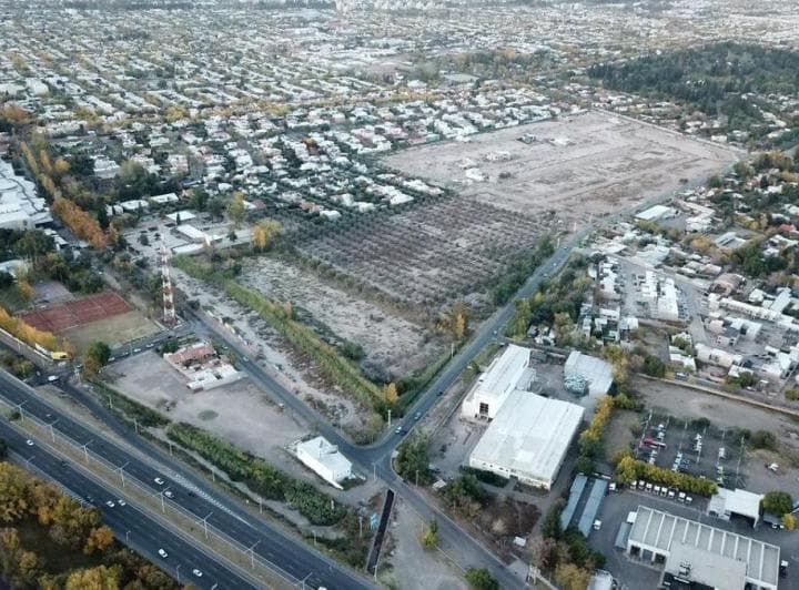 Importante Fracción de 4,5 Ha en Venta | Las Cañas y Elpidio González | Apta Desarrollo Inmobiliario - 2