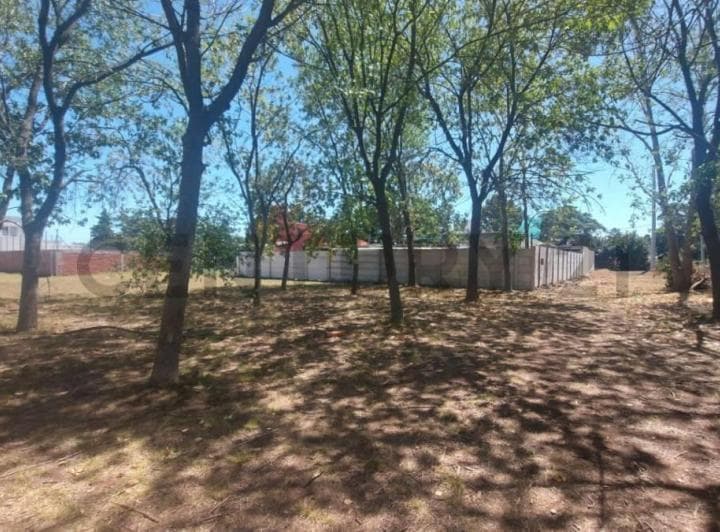 490 Entre 137 y 138, Terreno en Venta, Joaquin Gorina. - 5