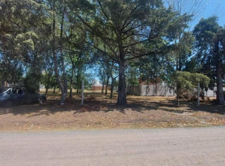 490 Entre 137 y 138, Terreno en Venta, Joaquin Gorina. - 2