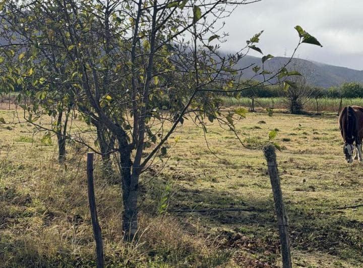 Terreno en Tafi del Valle - 4