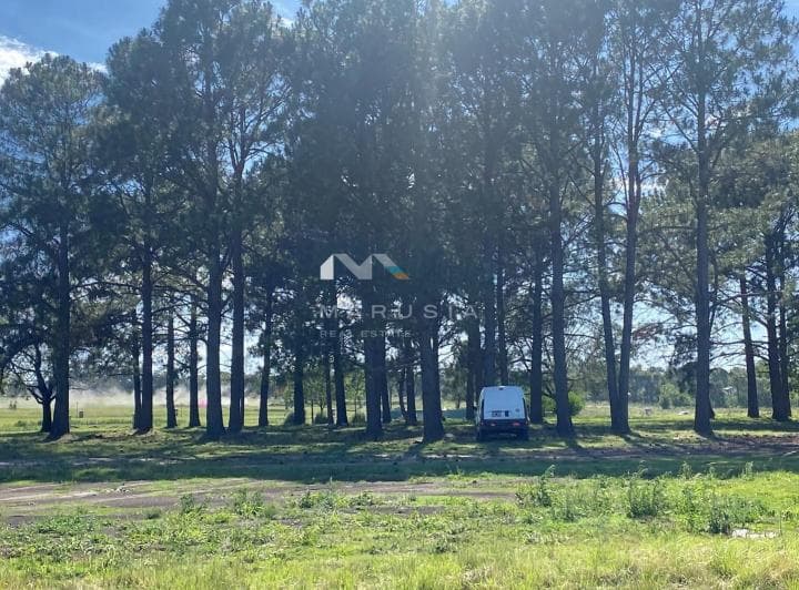 Terreno Lote en Venta en El Tilbury, Pilara, Pilar - 2
