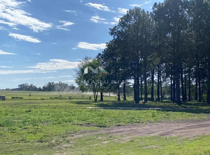 Terreno Lote en Venta en El Tilbury, Pilara, Pilar - 3