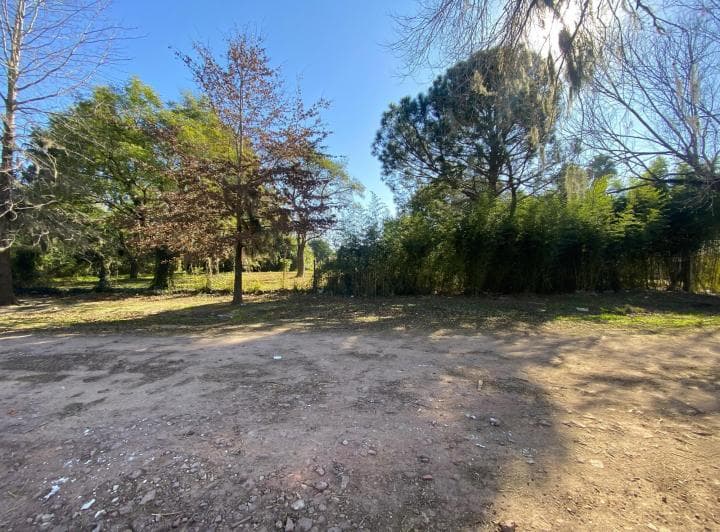 Lote en Venta de 570 m² en Los Olmos, Roldán - 5