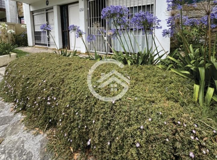 PH 3 Ambientes con Patio - Punta Mogotes - 2