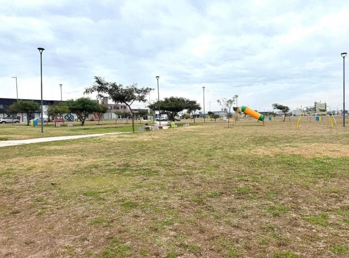 Local - Docta - 4