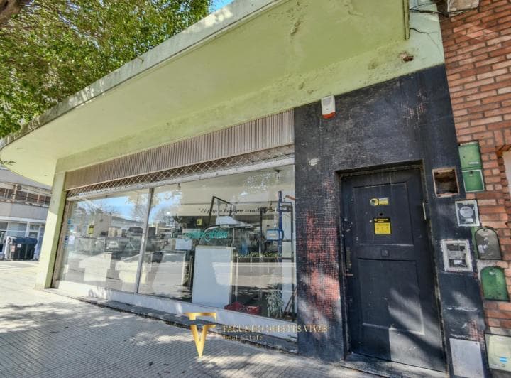 Venta - Terreno - Local - Parque Avellaneda - Juan Bautista Alberdi - 3