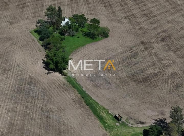 Finca en Venta – Las Cañitas - 2