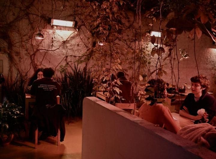 Fondo de Comercio en Venta - Restaurante Vegetariano - Colegiales - 2