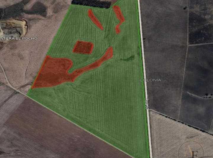 Campo en Venta Nueva Helvecia - 5