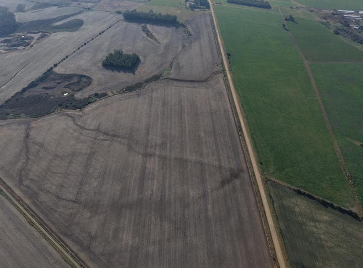 Campo en Venta Nueva Helvecia - 2