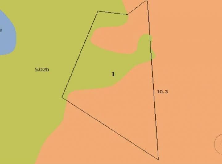 Campo en Venta Nueva Helvecia - 4