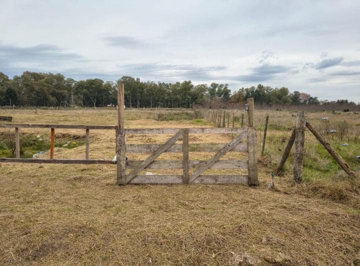 Terreno Venta Cañuelas Ruta 3 Km 75 - 5