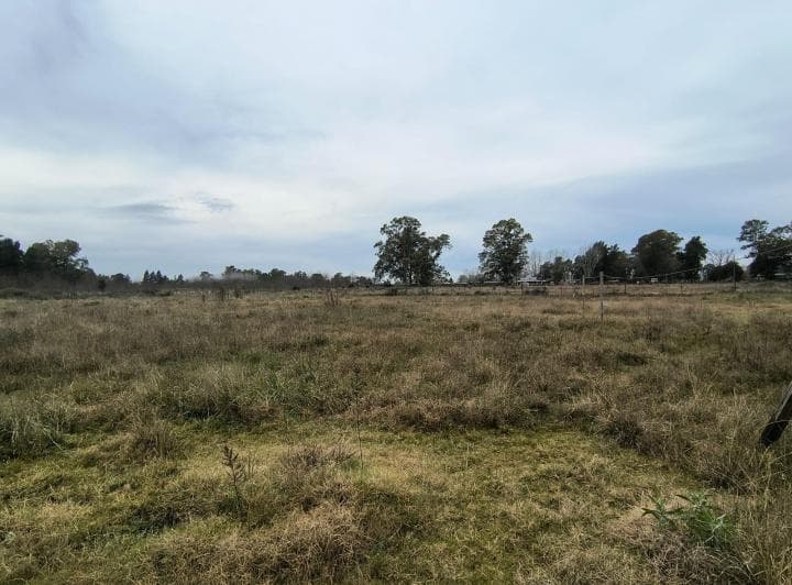 Terreno Venta Cañuelas Ruta 3 Km 75 - 3