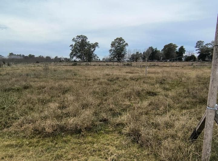 Terreno Venta Cañuelas Ruta 3 Km 75 - 2
