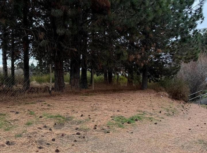 Terreno en San Carlos de Bariloche - 4