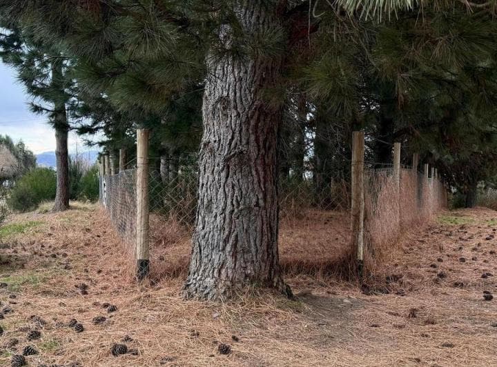 Terreno en San Carlos de Bariloche - 2