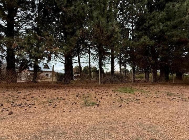 Terreno en San Carlos de Bariloche - 5