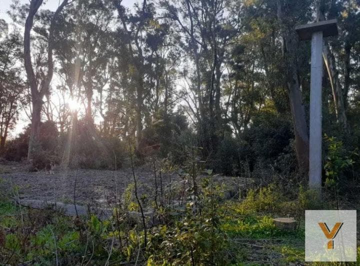 Terreno en Venta - 4324 m² - Punta Indio - 3