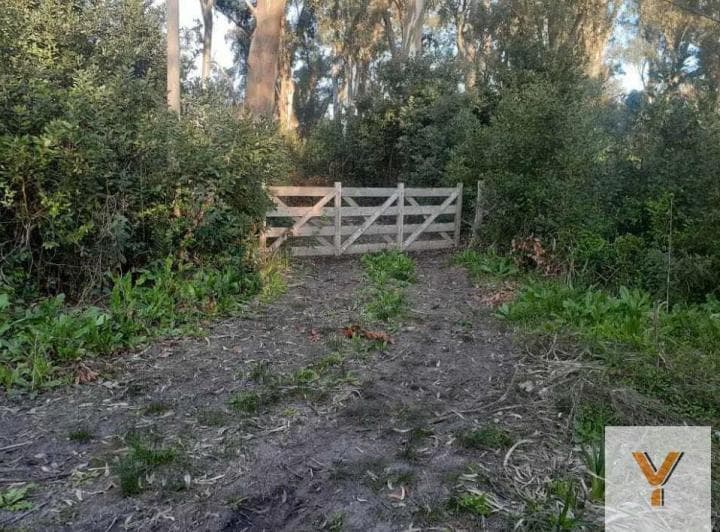 Terreno en Venta - 4324 m² - Punta Indio - 4