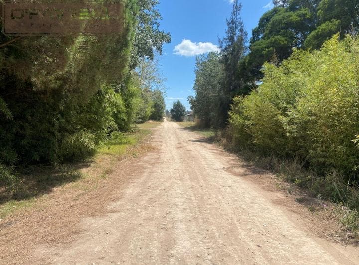 Lote / Terreno Calle de Pouly Esq. Ayerza - Parquemar Norte - Miramar - 2