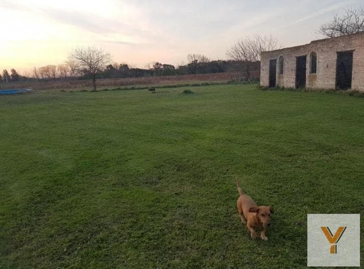 Campo en Venta - 4 Dorm. 3 Baños - Cochera - 52.421 m² - Mercedes - 3