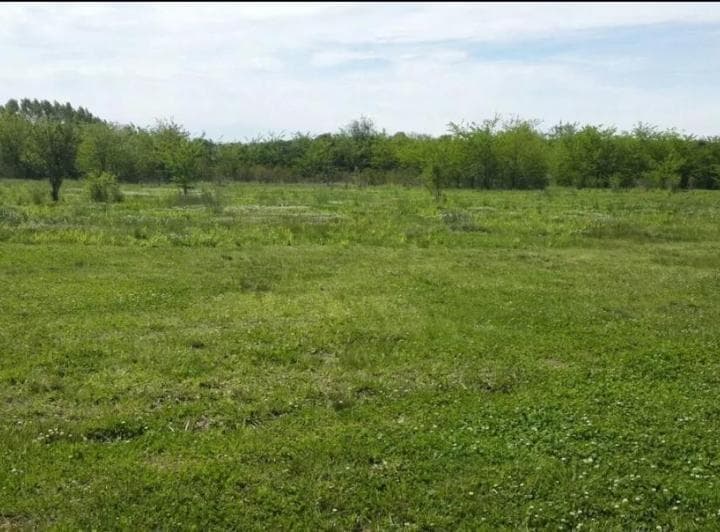 Campo en Venta - 4 Dorm. 3 Baños - Cochera - 52.421 m² - Mercedes - 4