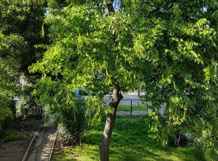 Terreno en Venta - El Talar - 5