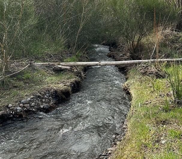 Terreno Lote en Venta Ubicado en Vega San Martin, San Martin de Los Andes, Patagonia - 4