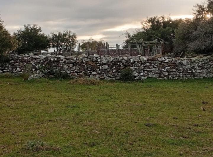 Hermosa Chacra en Venta en San Carlos, Uruguay - 3