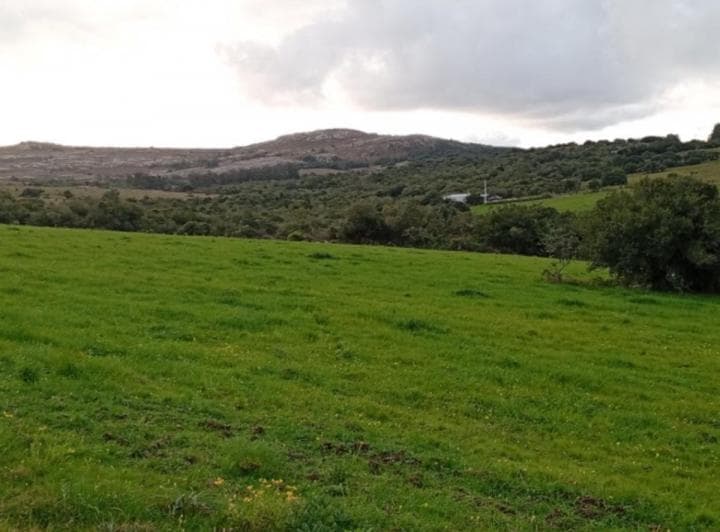 Hermosa Chacra en Venta en San Carlos, Uruguay - 2
