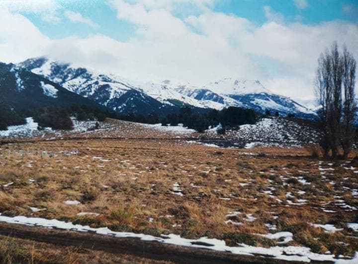 Venta Terreno de 1300 m² en Villa Lago Meliquina, Las Jorgelinas - 4