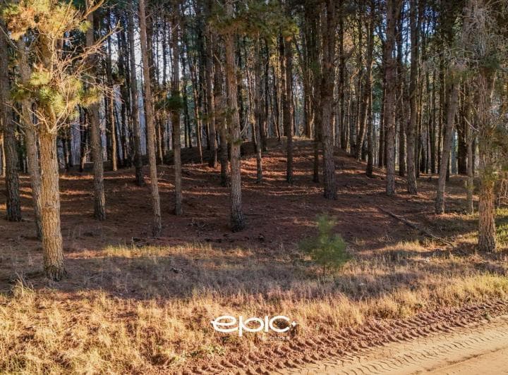 Lote en Venta Villarobles - 2