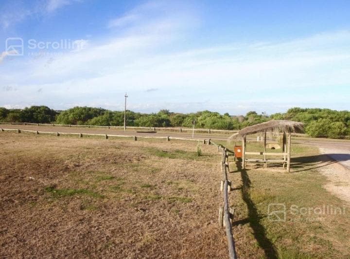 Terreno en José Ignacio - 5