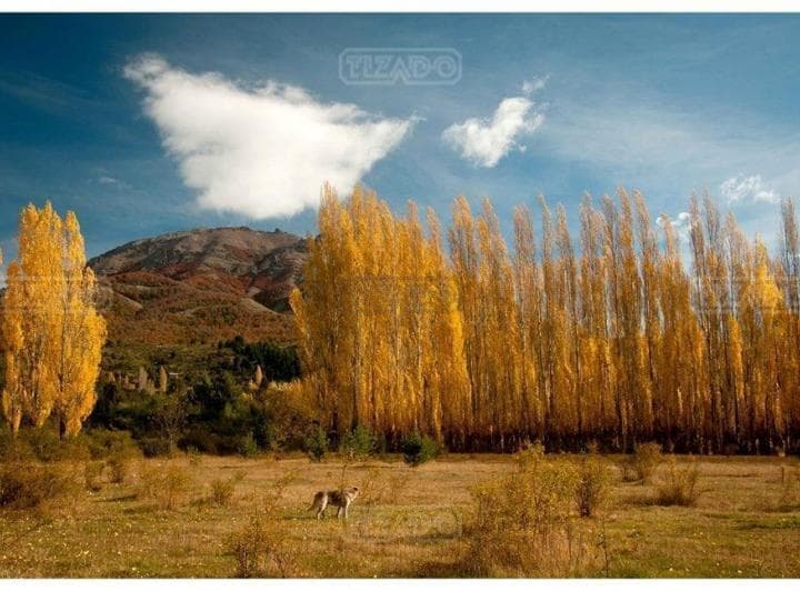 Terreno Lote en Venta en Dos Valles, Bariloche, Patagonia - 5