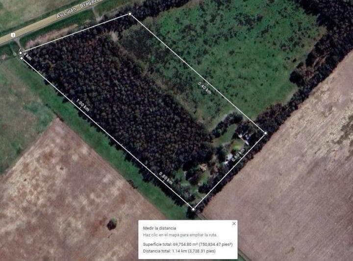 Oportunidad Venta Campo 21 Ha Sobre Ruta 5 (Km 135) - Suipacha | Apta Comercial, Agro E Inversión. m - 4