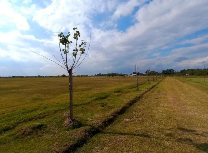 Campo en San Vicente. - 4