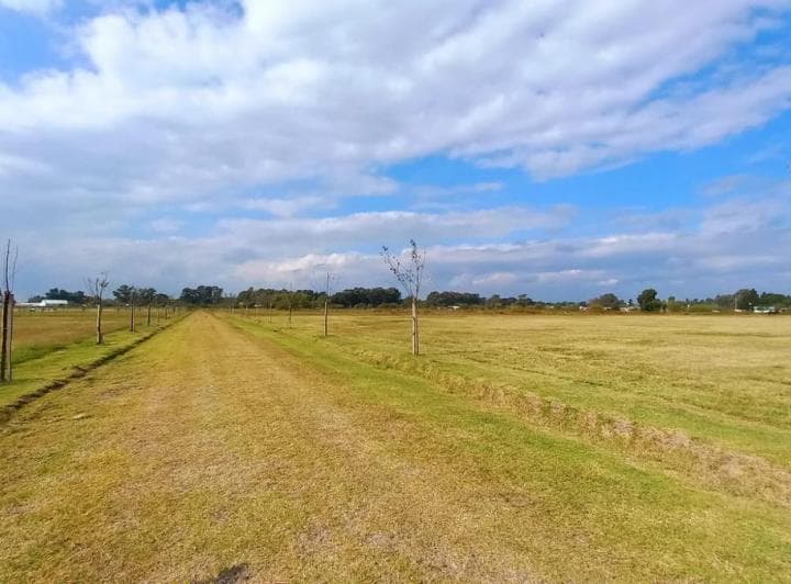 Campo en San Vicente. - 3