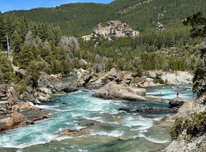 Excelentes Lotes Sobre Costa de Río Caleufu - Orillas de Caleufu - 5