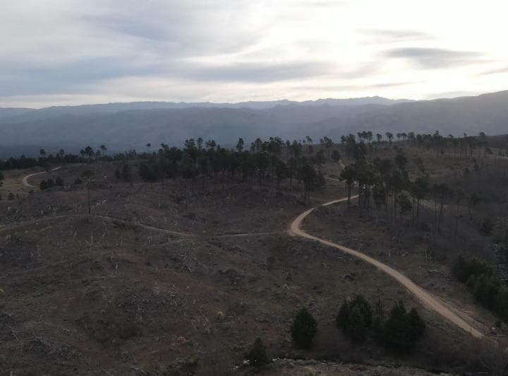 Terreno en Venta Villa Yacanto Calamuchita - 3