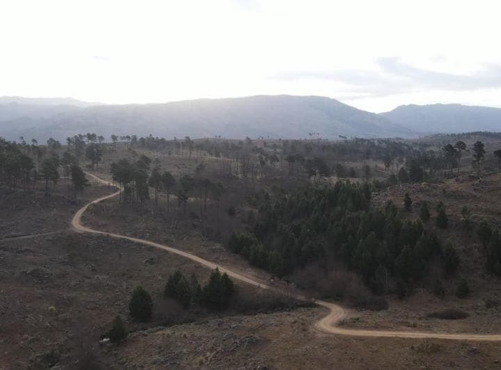 Terreno en Venta Villa Yacanto Calamuchita - 2