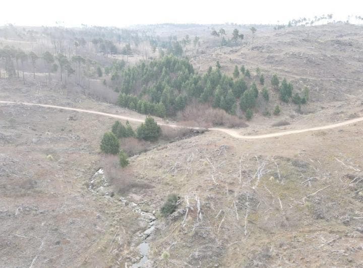 Terreno en Venta Villa Yacanto Calamuchita - 5