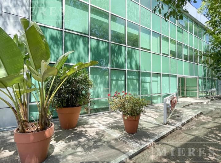 Oficinas en Venta con Renta de 322 m² - Lomas de San Isidro - 3