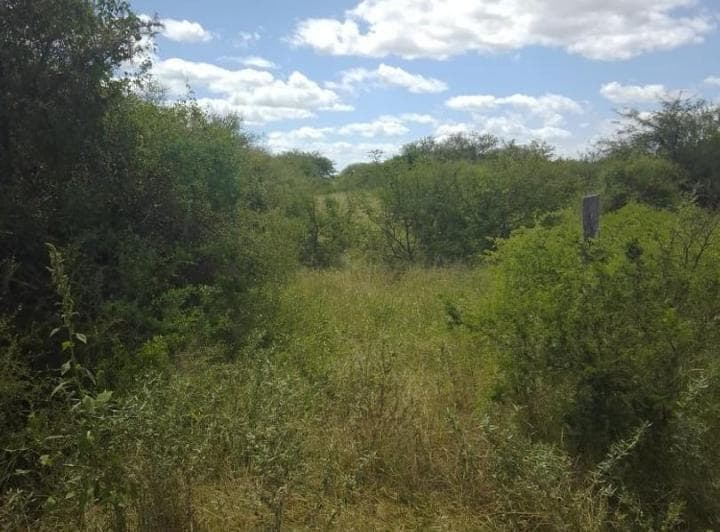 Alquiler o Venta Campo Ganadero La Cabral San Cristobal - 5