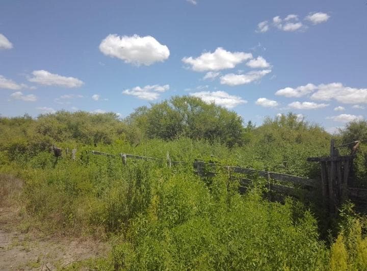 Alquiler o Venta Campo Ganadero La Cabral San Cristobal - 3