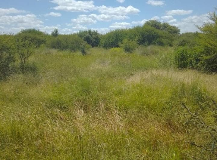 Alquiler o Venta Campo Ganadero La Cabral San Cristobal - 4
