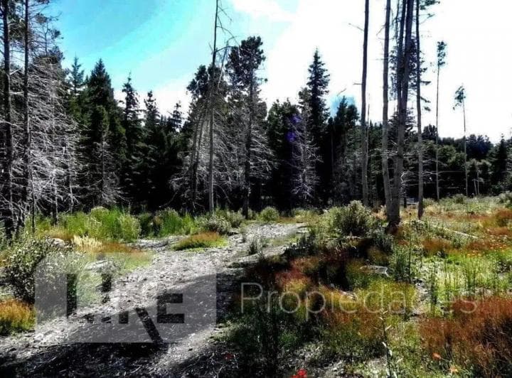 Terreno Lote en Venta en Kilóm, Bariloche, Patagonia - 3