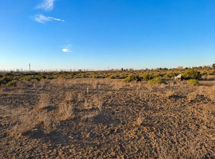 Lote en Venta de 2.008 m&sup2; en Lavalle - 4