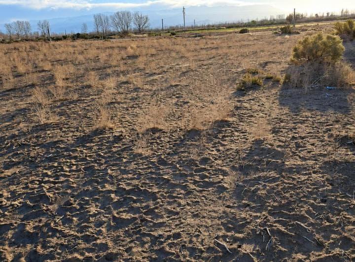 Lote en Venta de 2.008 m&sup2; en Lavalle - 5